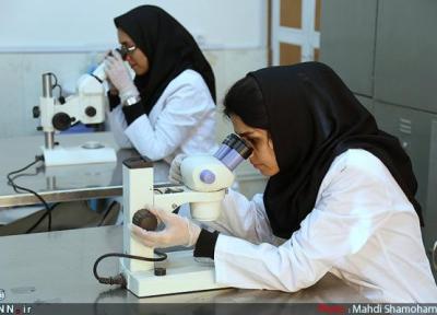 دانشگاه علوم پزشکی تبریز مجوز پذیرش دانشجو در مقطع دکترای تخصصی اخذ کرد