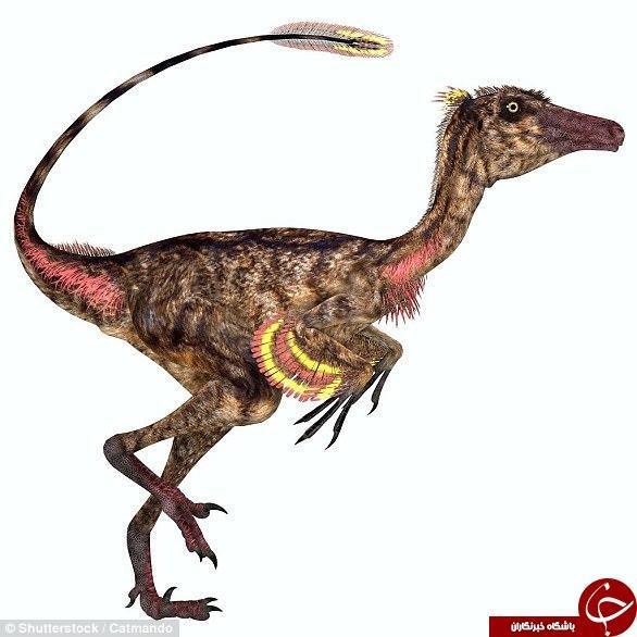کشف فسیل یک دایناسور دارای بال های کوچک